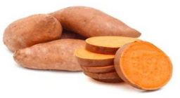 Frozen Steam Sweet Potato (Khoai lang Nhật hấp cấp đông)