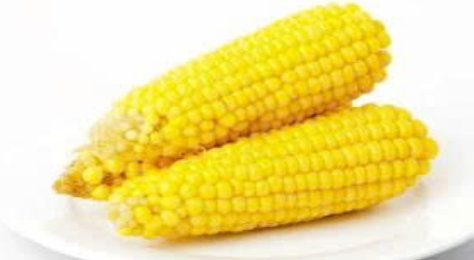 Frozen Steam Corn (Trái bắp nếp hấp cấp đông)