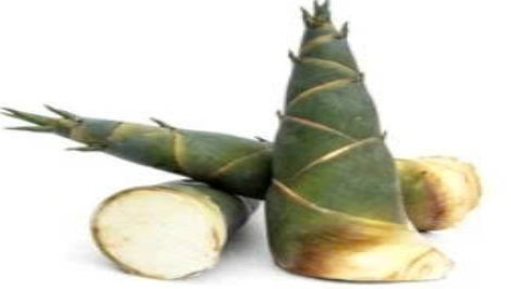 Frozen Bamboo Shoots Pieces (Măng tươi cắt khúc cấp đông)