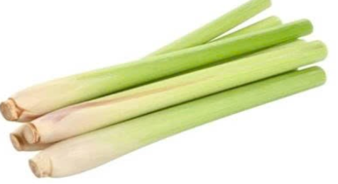 Frozen Lemongrass - 20cm (Sả cấp đông dọc 20cm)