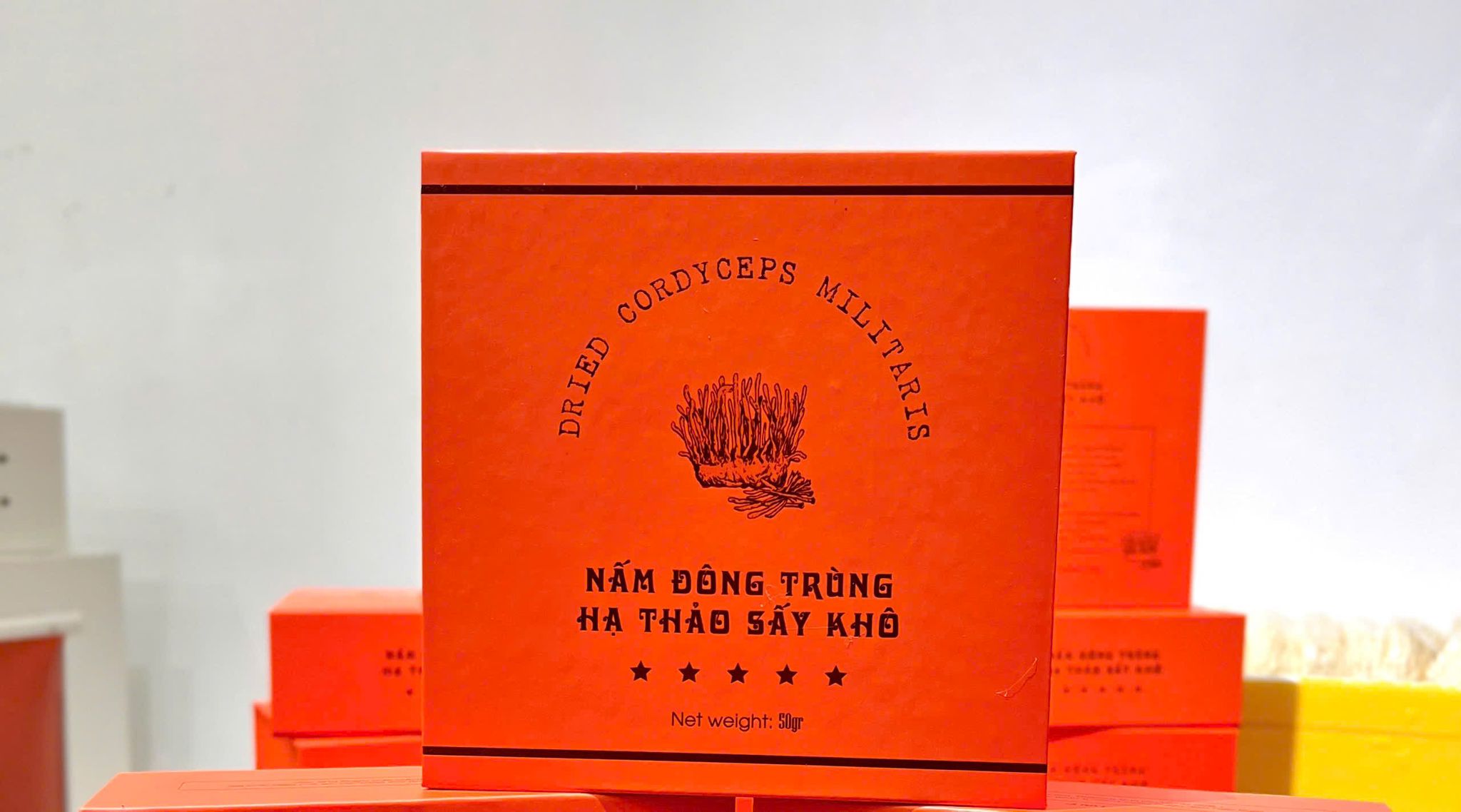 Dried Cordyceps Militaris