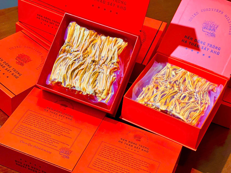 Dried Cordyceps Militaris